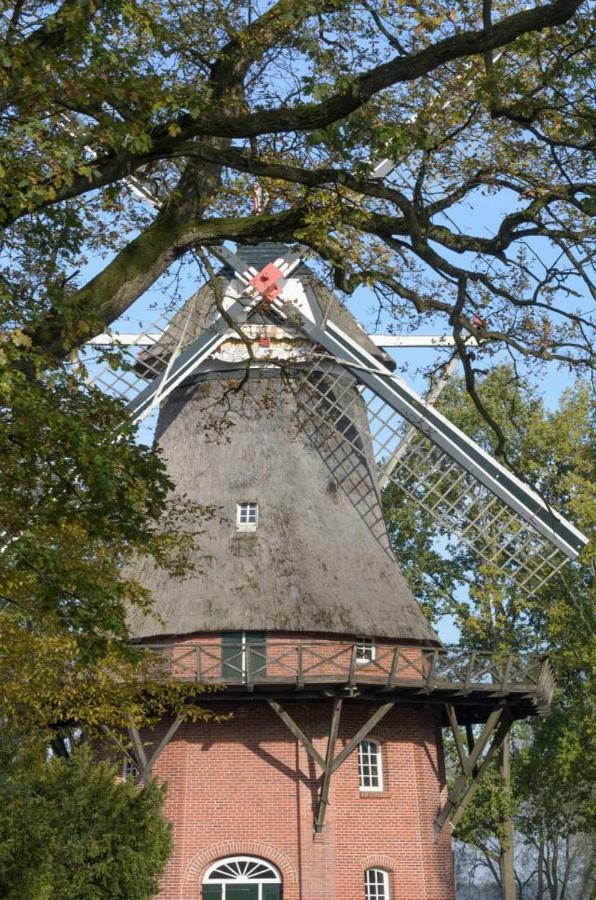 Ferienhaus Kleine Oase Varel Ngoại thất bức ảnh